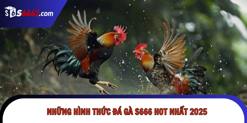 Những hình thức đá gà S666 hot nhất 2025