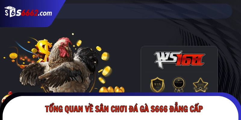 Tổng quan về sân chơi đá gà S666 đẳng cấp