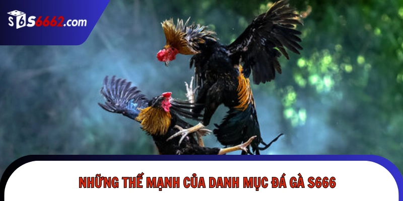 Những thế mạnh của danh mục đá gà S666