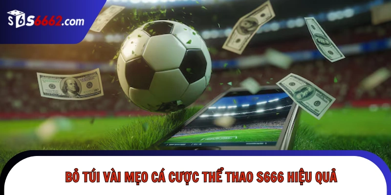 Bỏ túi vài mẹo cá cược thể thao S666 hiệu quả
