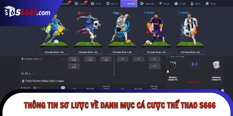 Thông tin sơ lược về danh mục cá cược thể thao S666